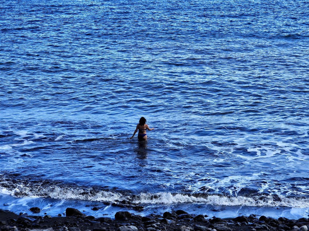 Atlantic Ocean with dolphins