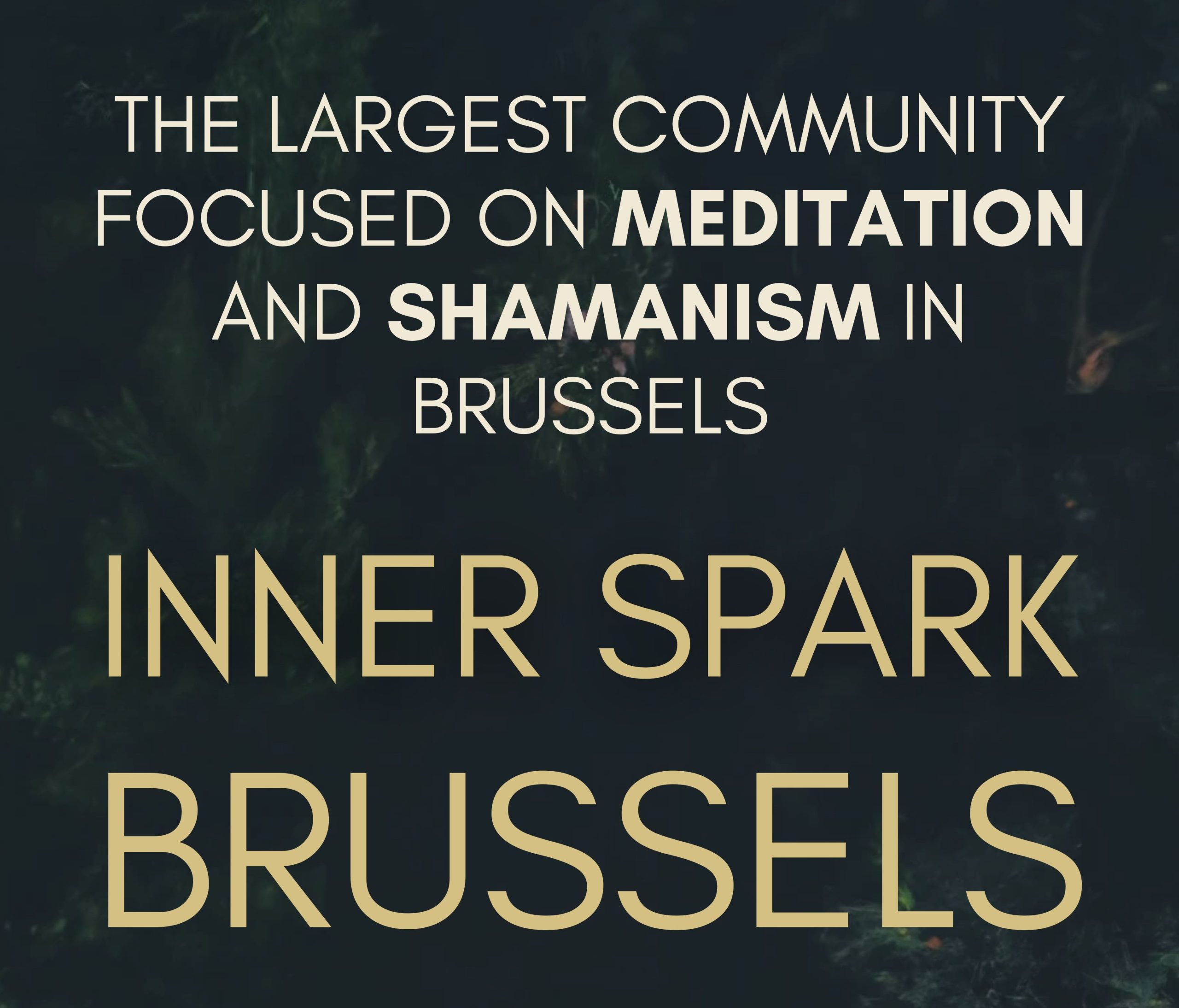 Inner Spark - 2