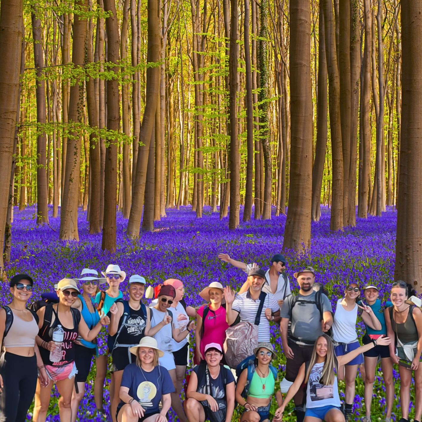 Hike, Qigong & Drum Journey in Hallerbos – 1