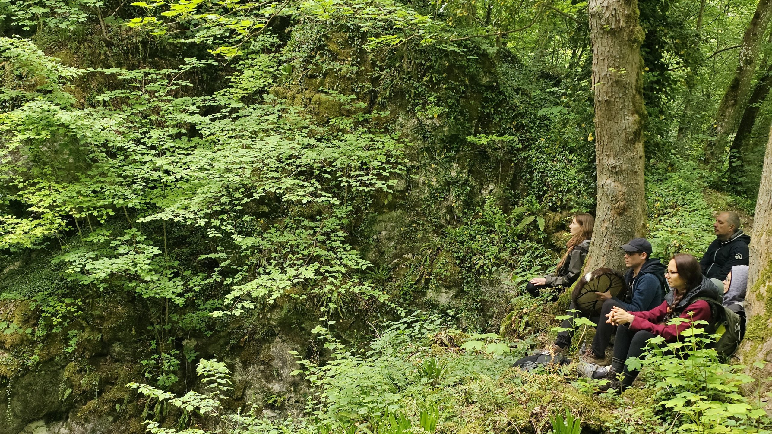 Personas disfrutando de un momento de conexión en la naturaleza durante una excursión