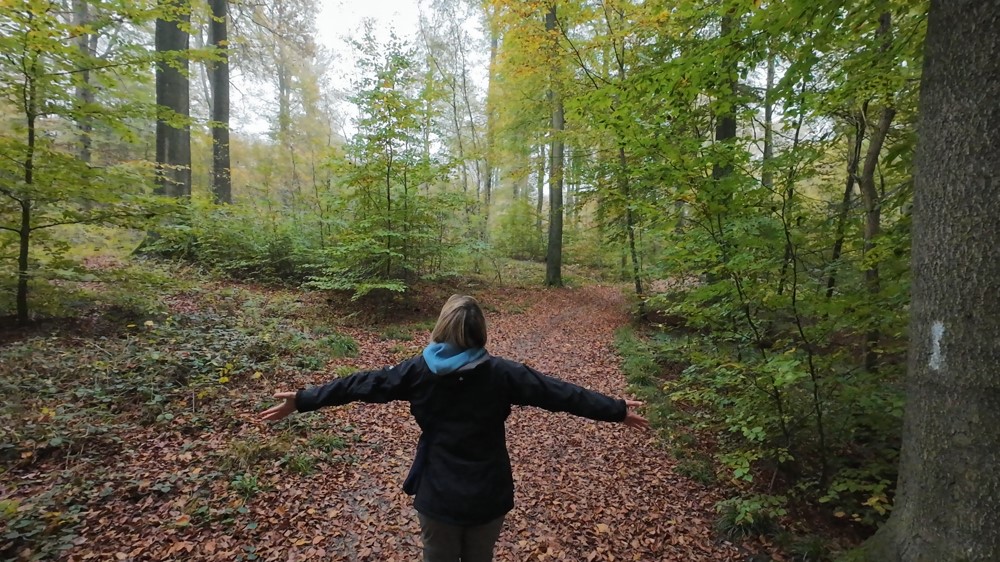 Beautiful scenery of Woluwe Park 1