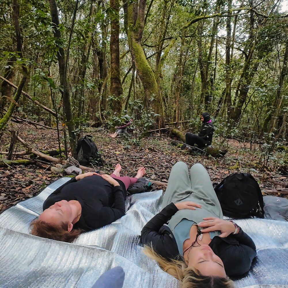 Comfortable meditation positions available outdoors