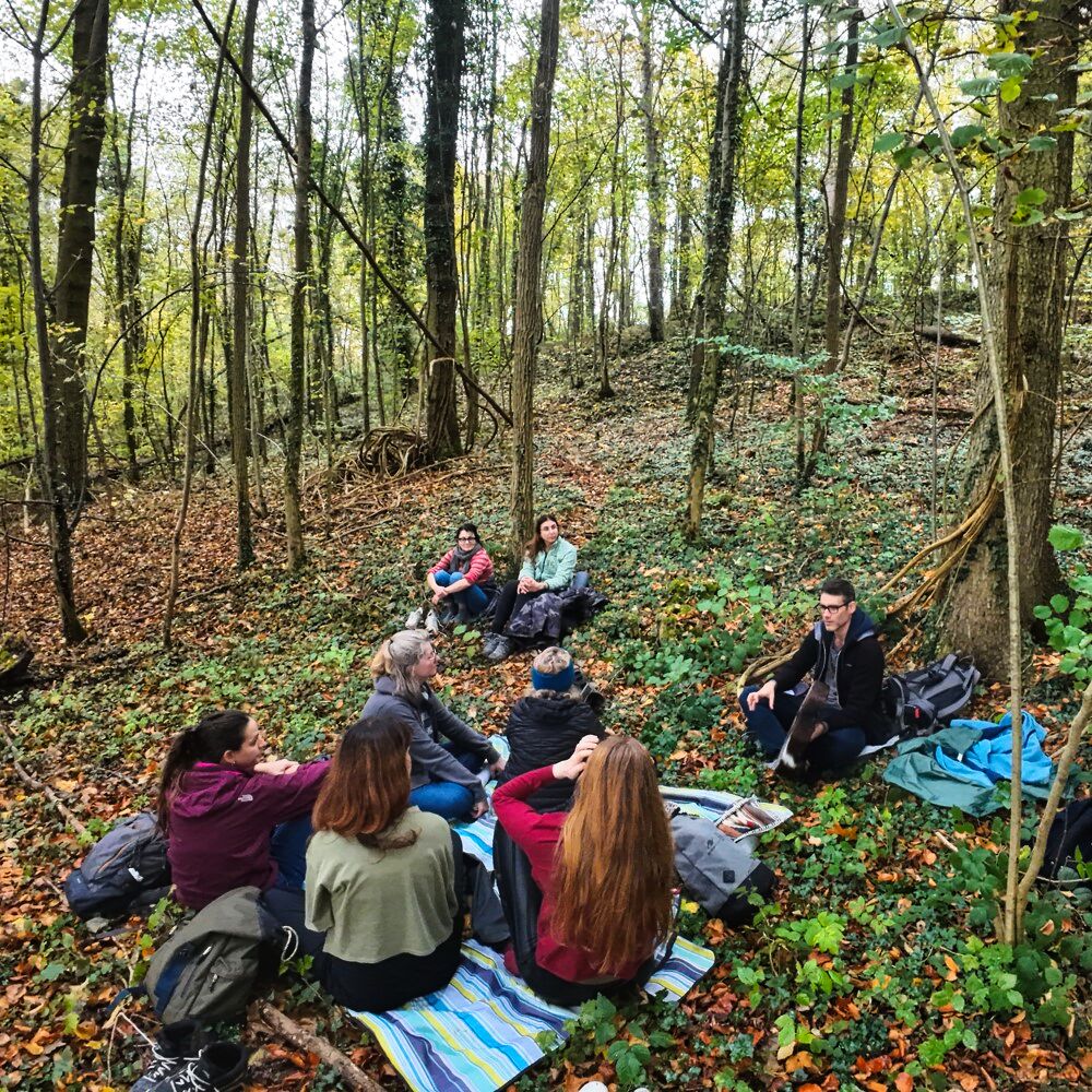 Connect and share with the meditation community in the park