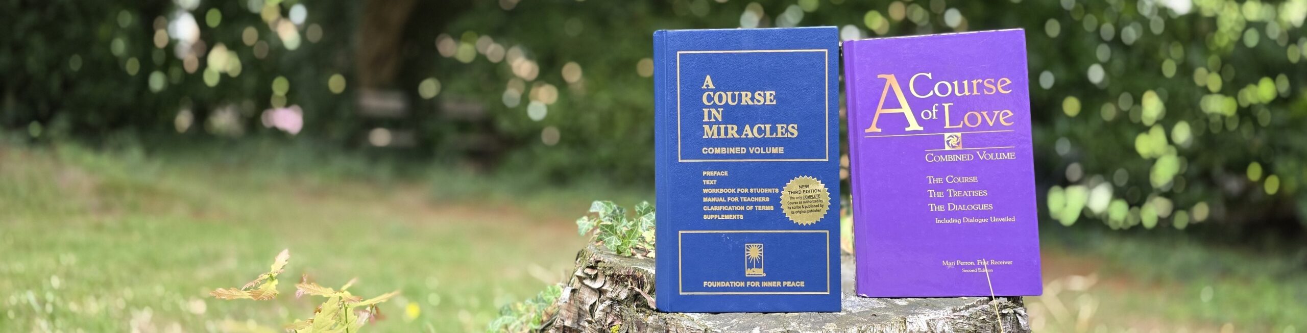 A serene, inspiring image representing spiritual study and connection
