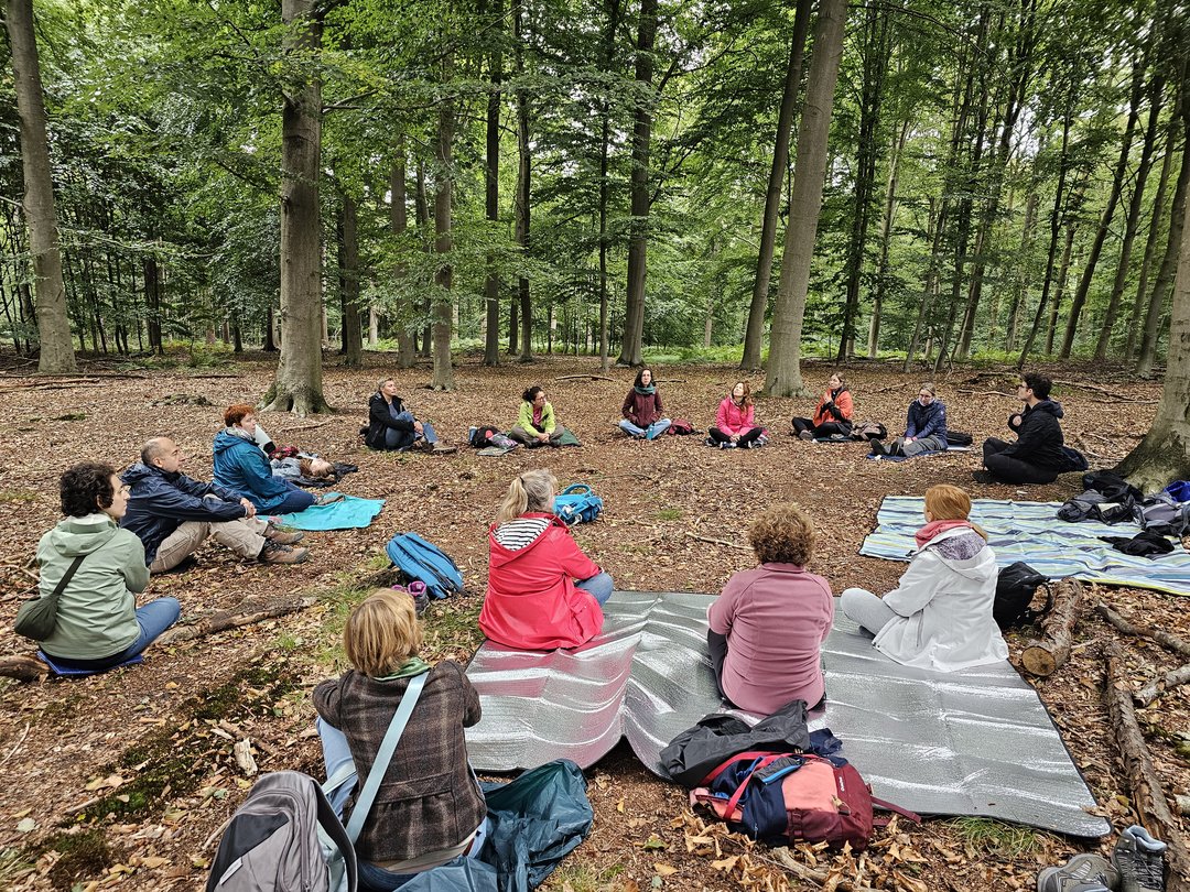 Group meditating in comfortable positions, sitting and lying down