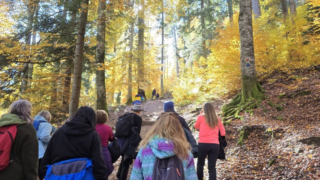 FREE Hike🌿 Walk & Breathe 🌿 Awaken the Body, Quiet the Mind, Connect with Nature