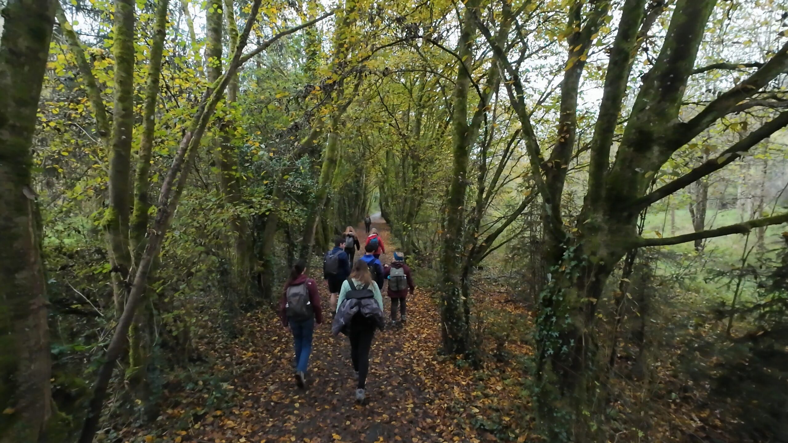 Hiking in Heid des Gattes Nature Reserve