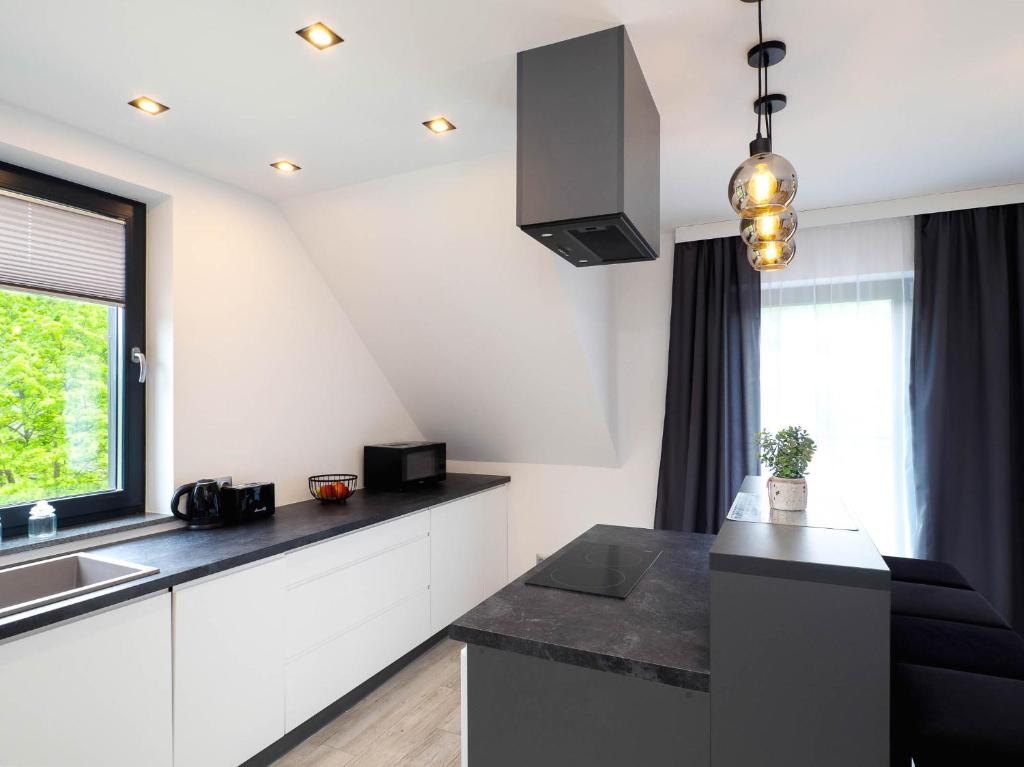 Kitchen and Living Area