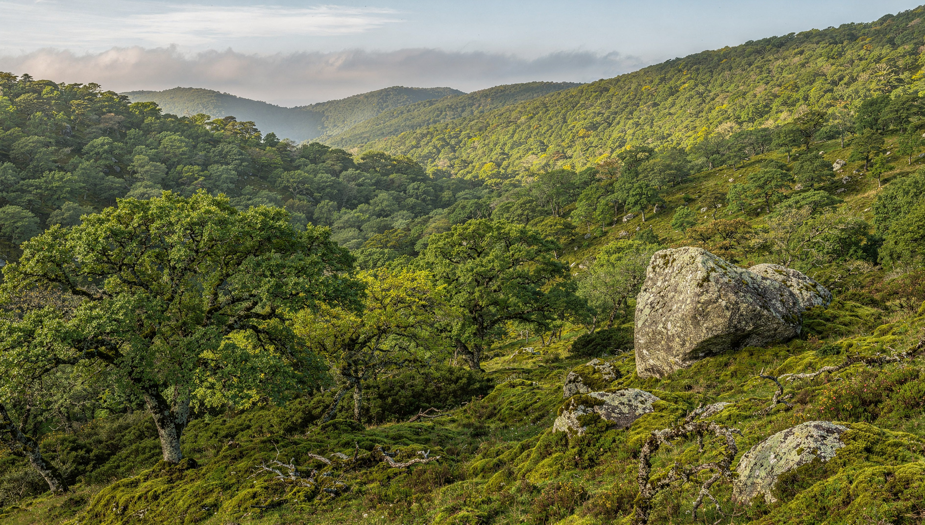Gerês landscape