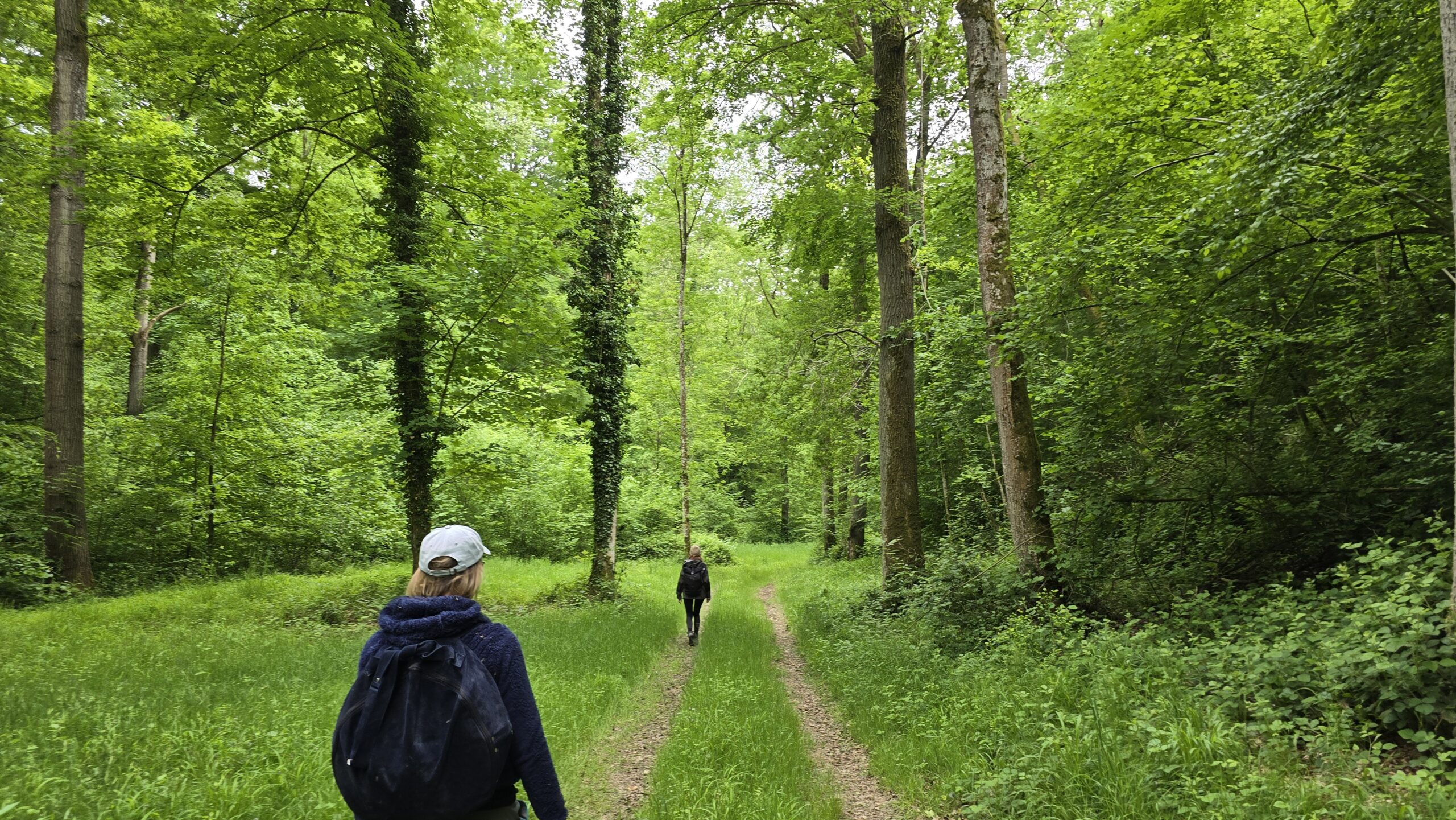 Adventure and nature path