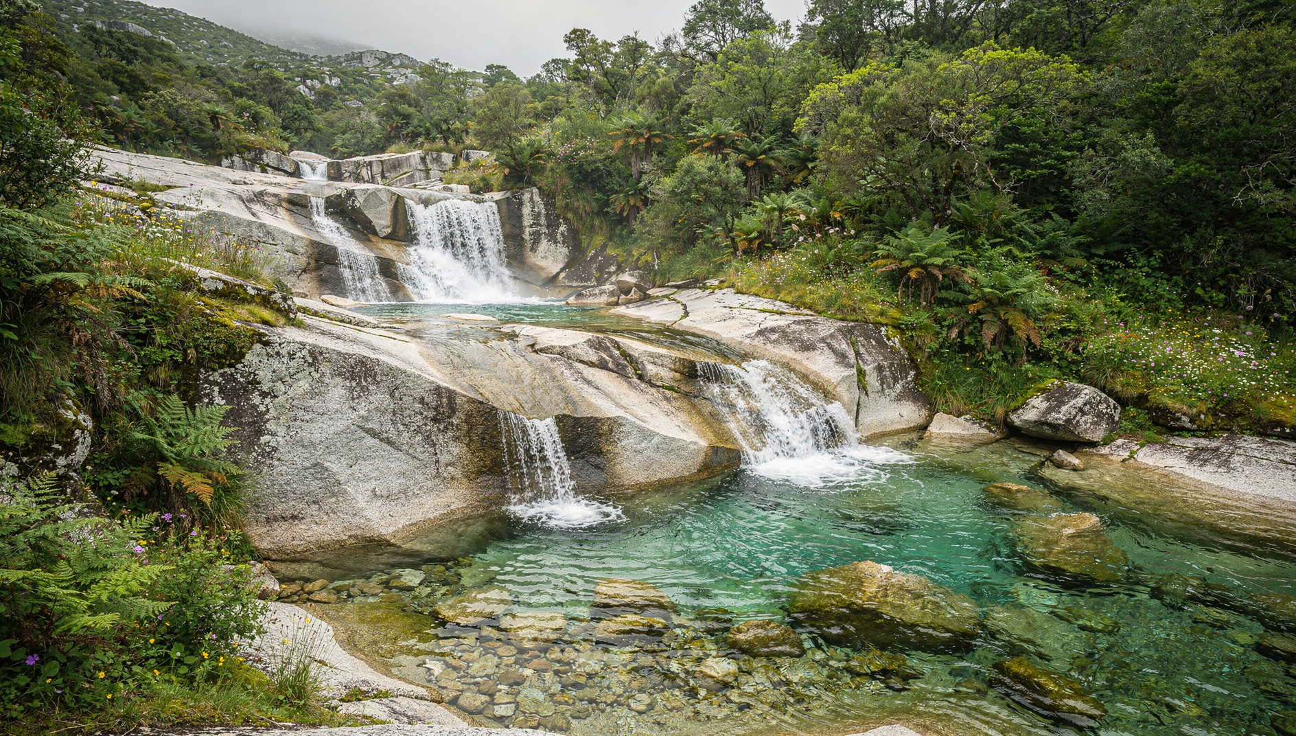 Wild nature of Peneda-Gerês