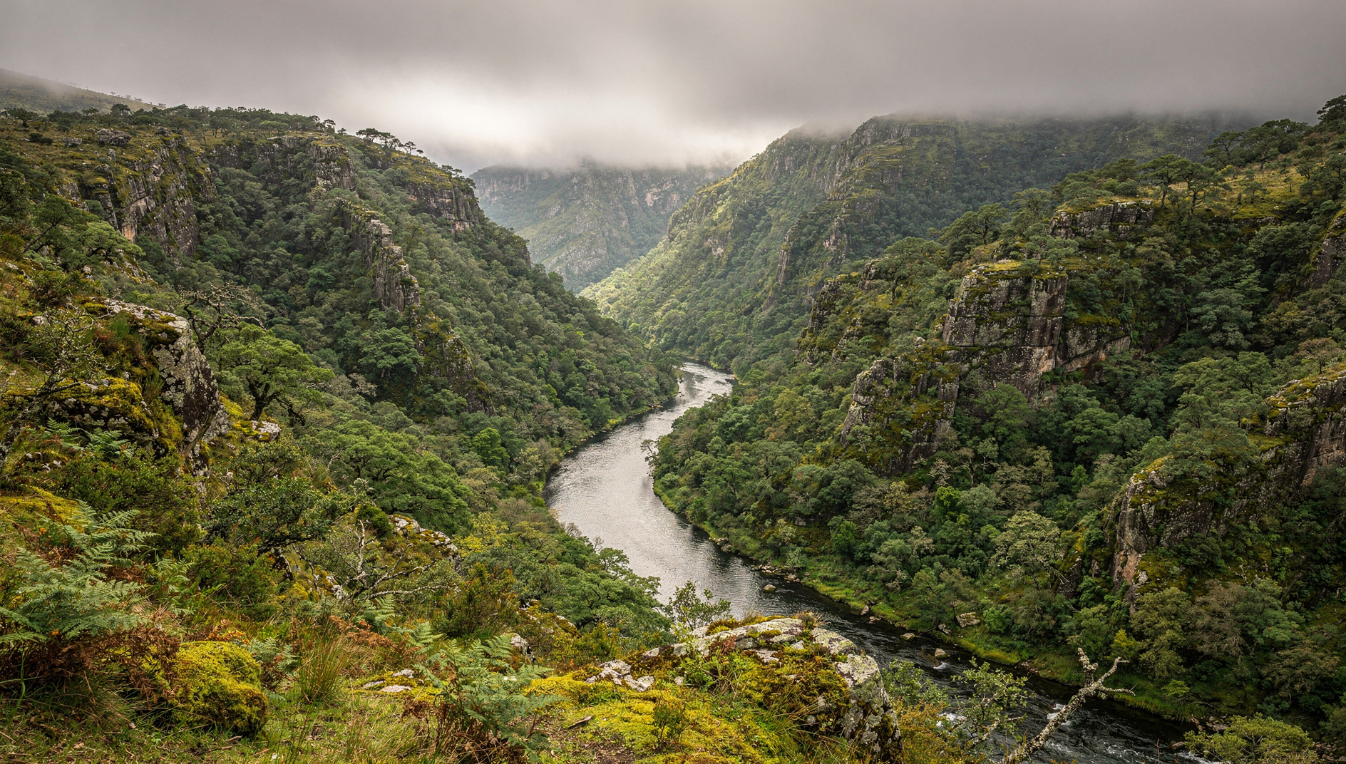Gerês landscape