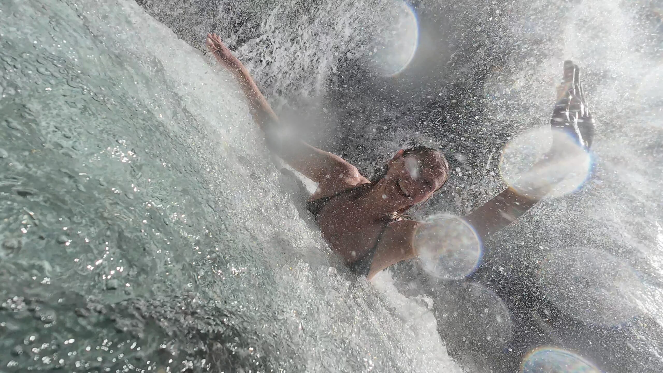 The Ancestral Forest