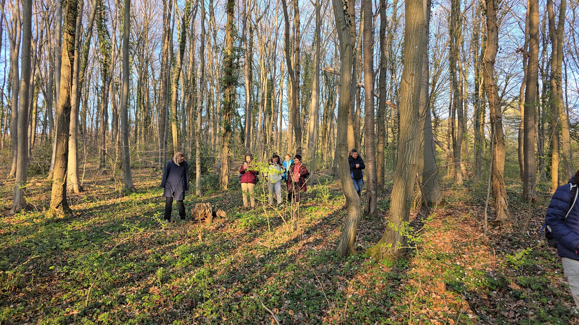 Inner Spark retreat path and spiritual practice