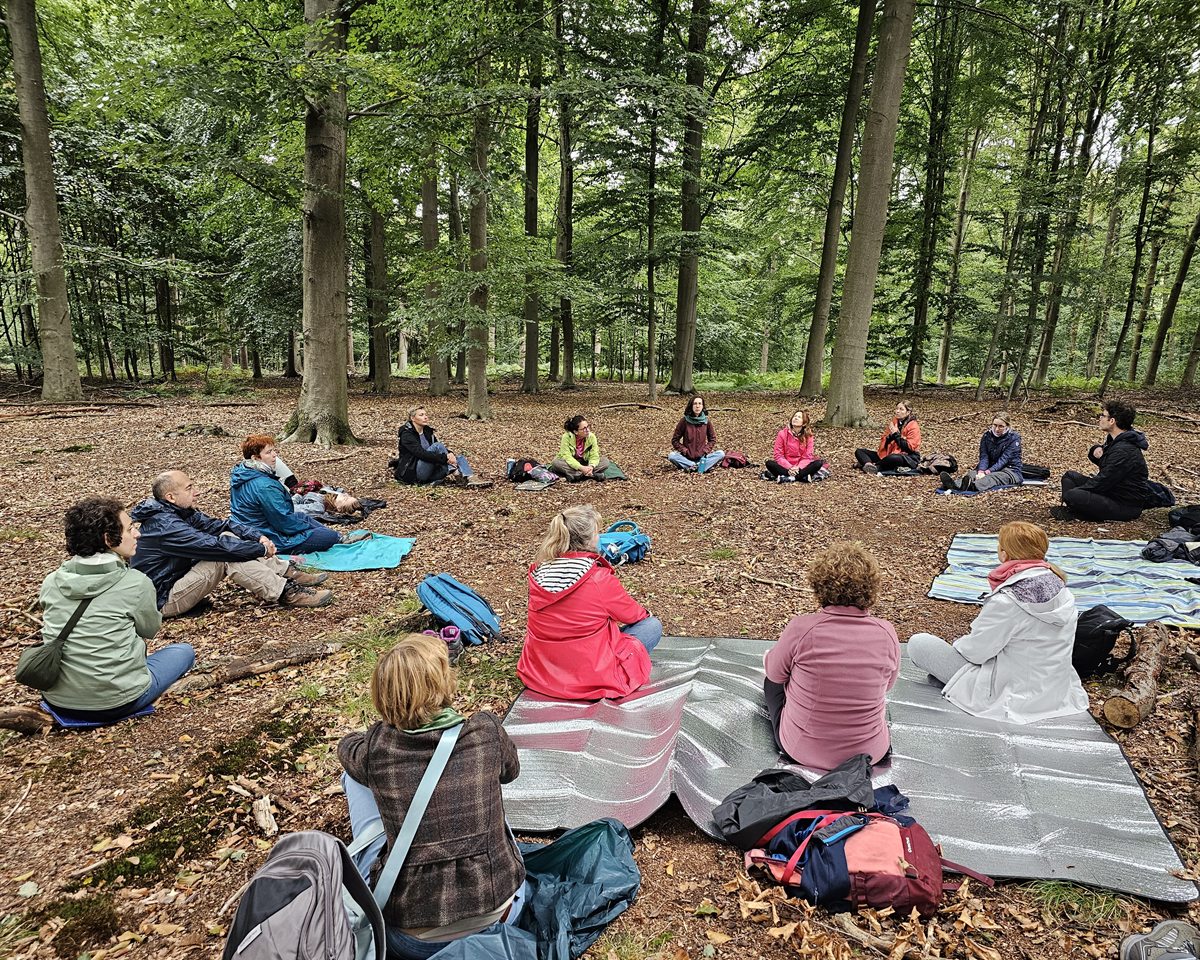 A circle of people practicing together in the forest
