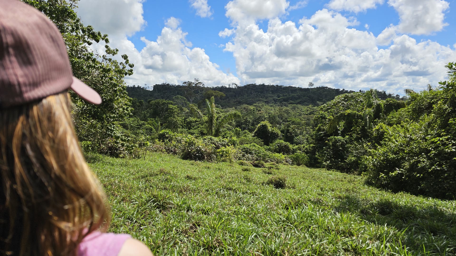View across the Amazon jungle