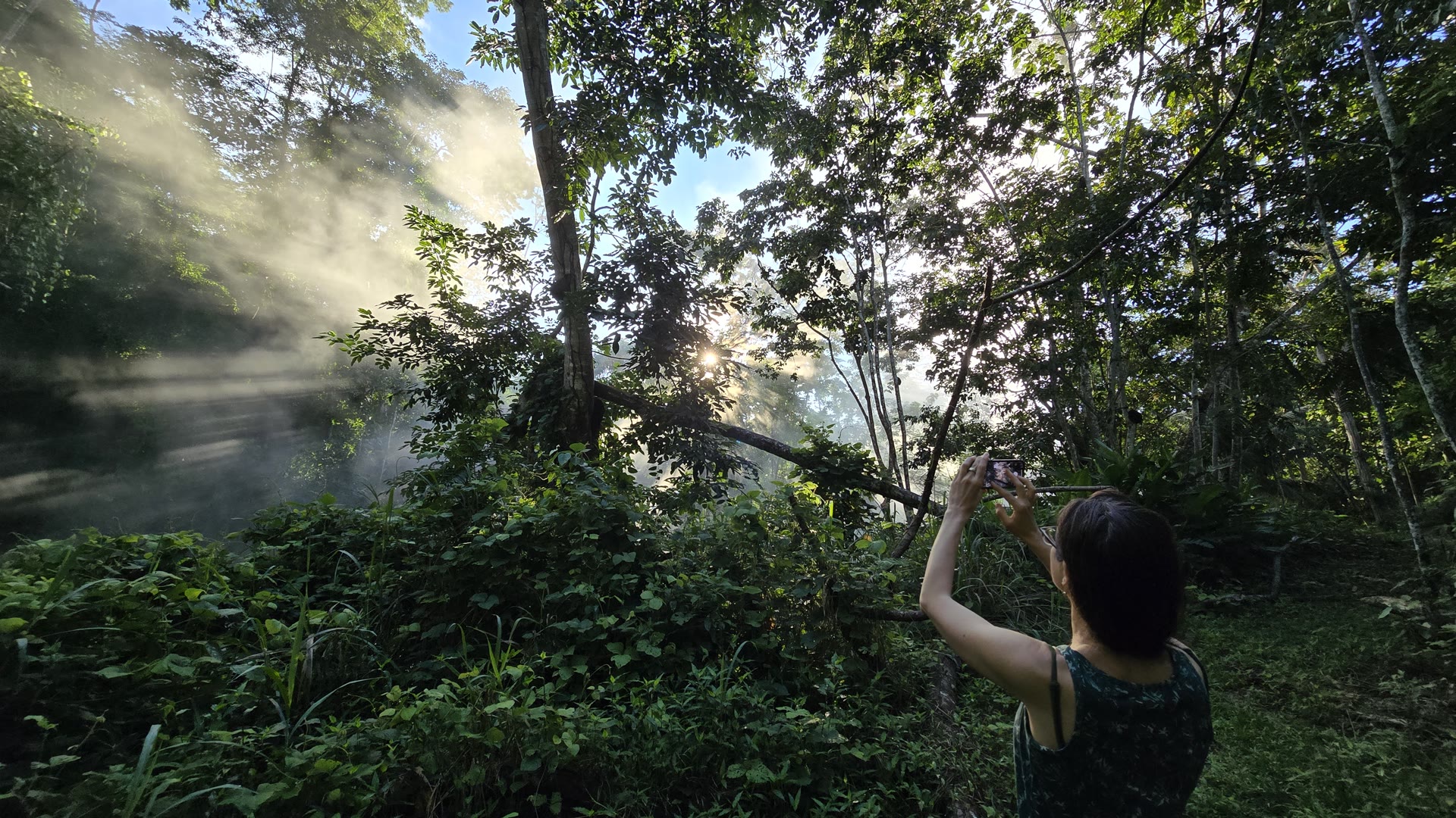 Morning light entering the Amazon jungle