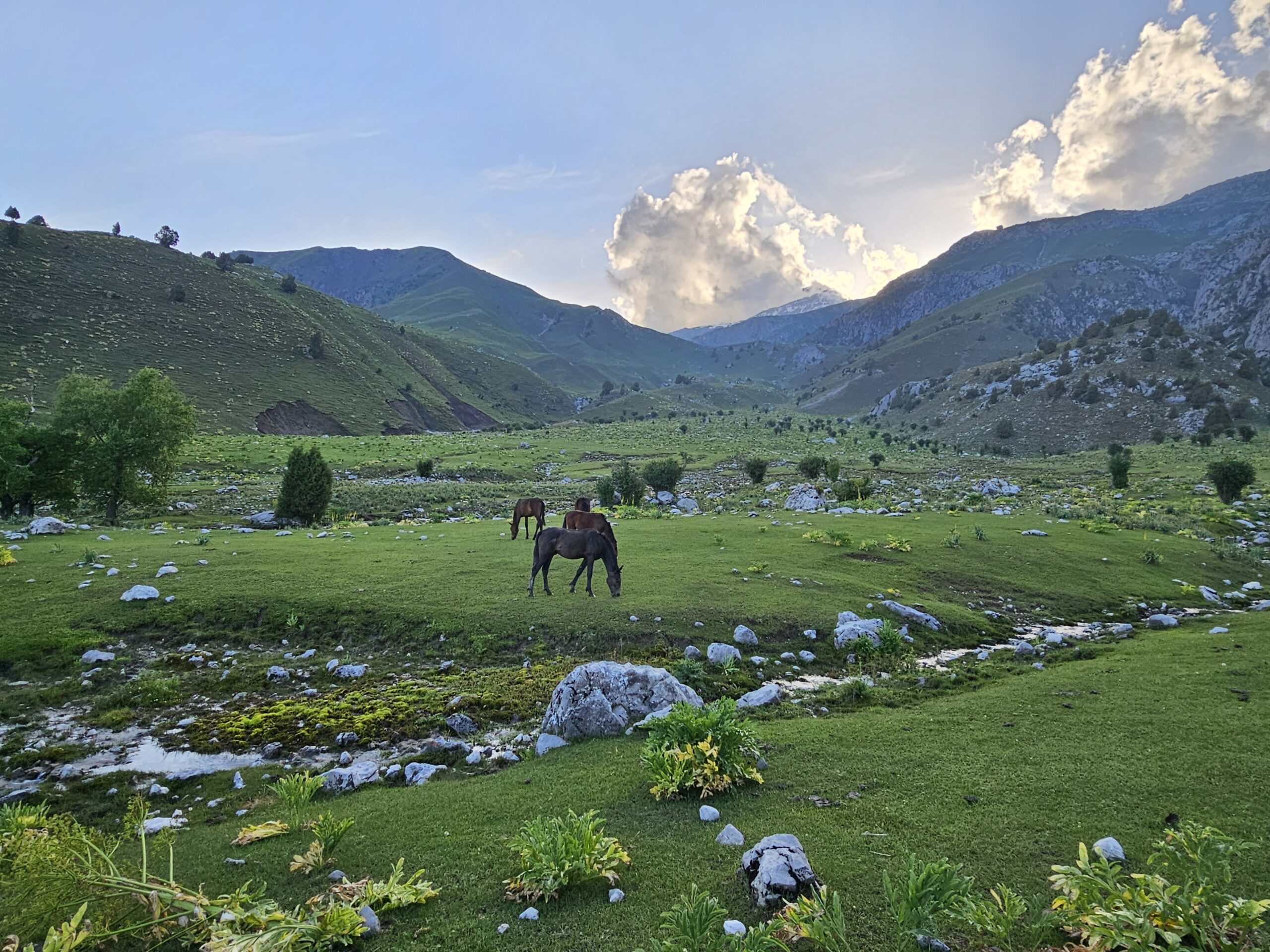 Green valley and living nature representing Umay