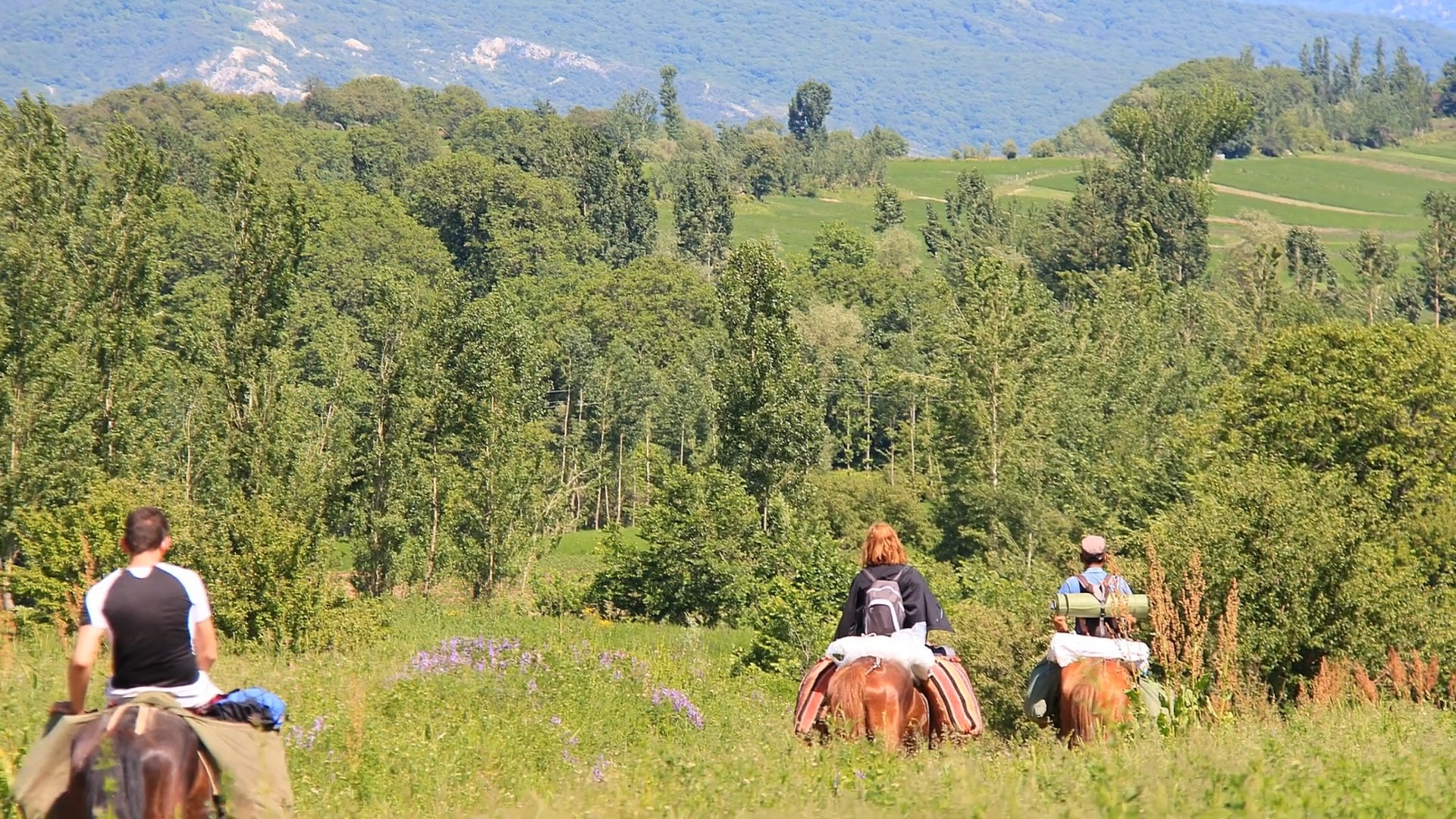 Horseback path through forest as the road aspect of the nomadic way