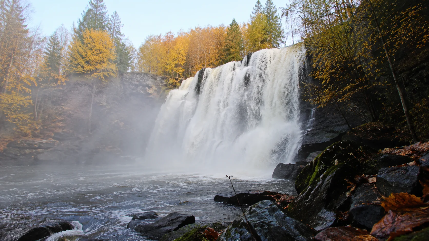 A wide waterfall surrounded by autumn forest