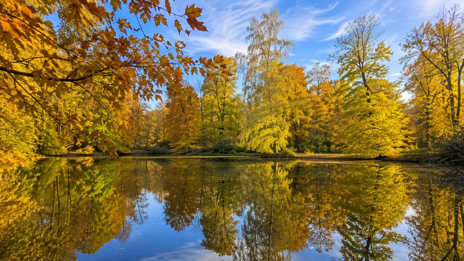 Golden autumn trees reflected in a quiet lake