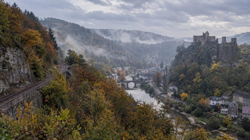 The Fortress and The Forest featured image
