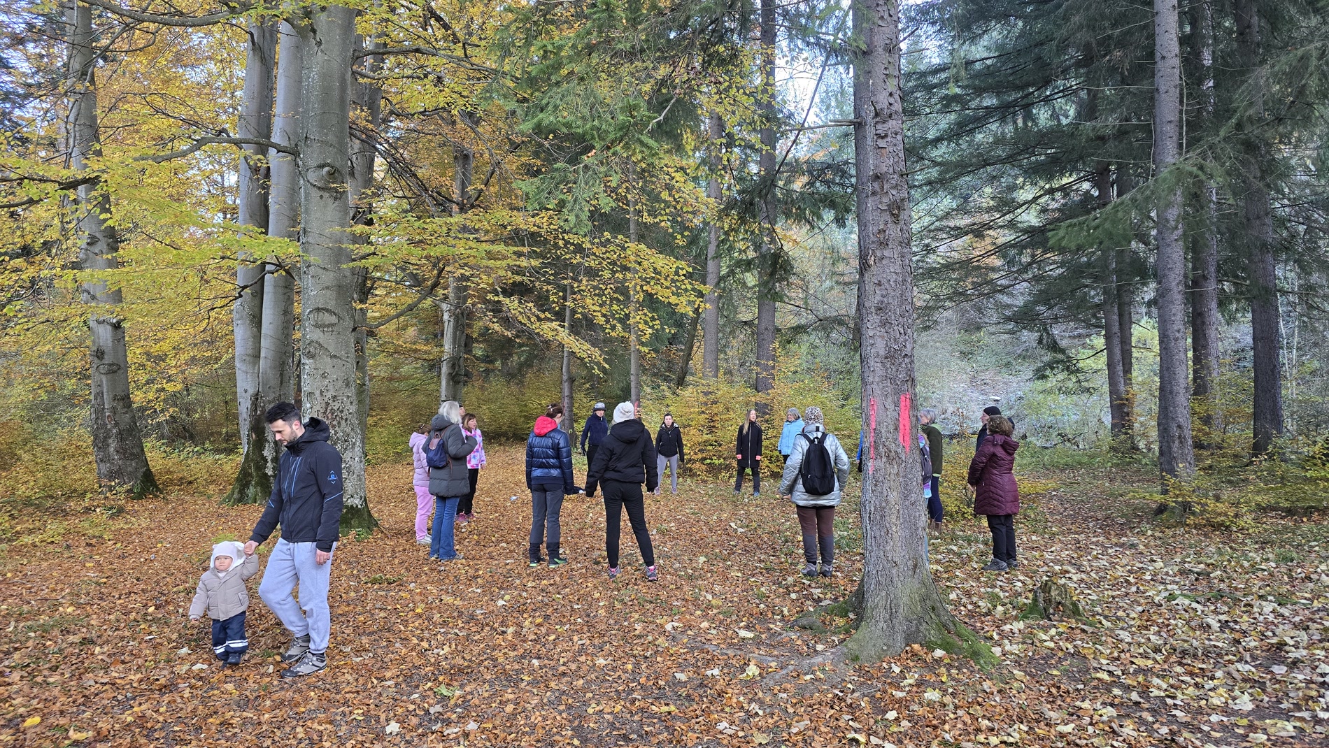 A healing circle among autumn trees