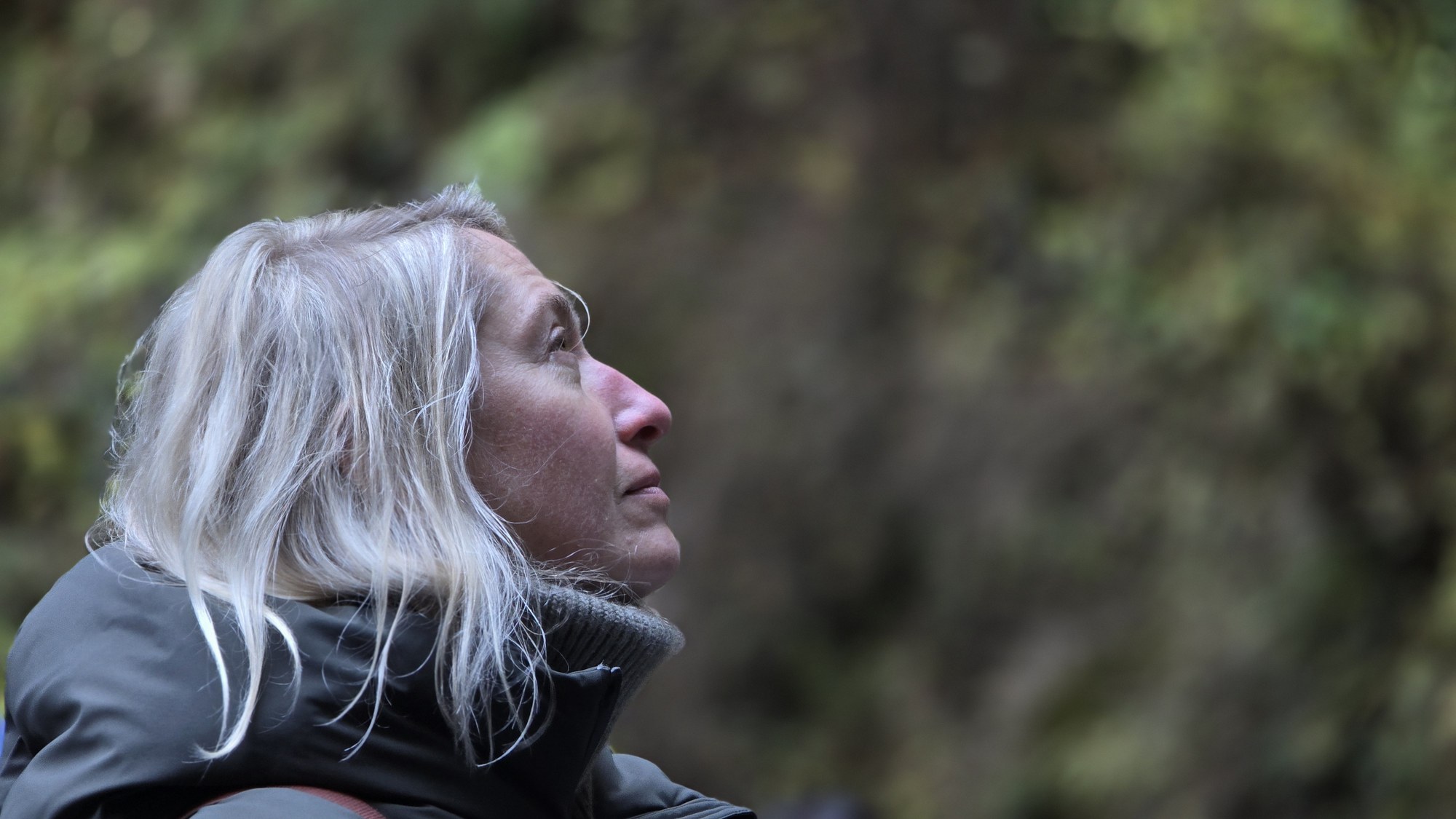 A reflective moment in the autumn forest during the Busteni retreat