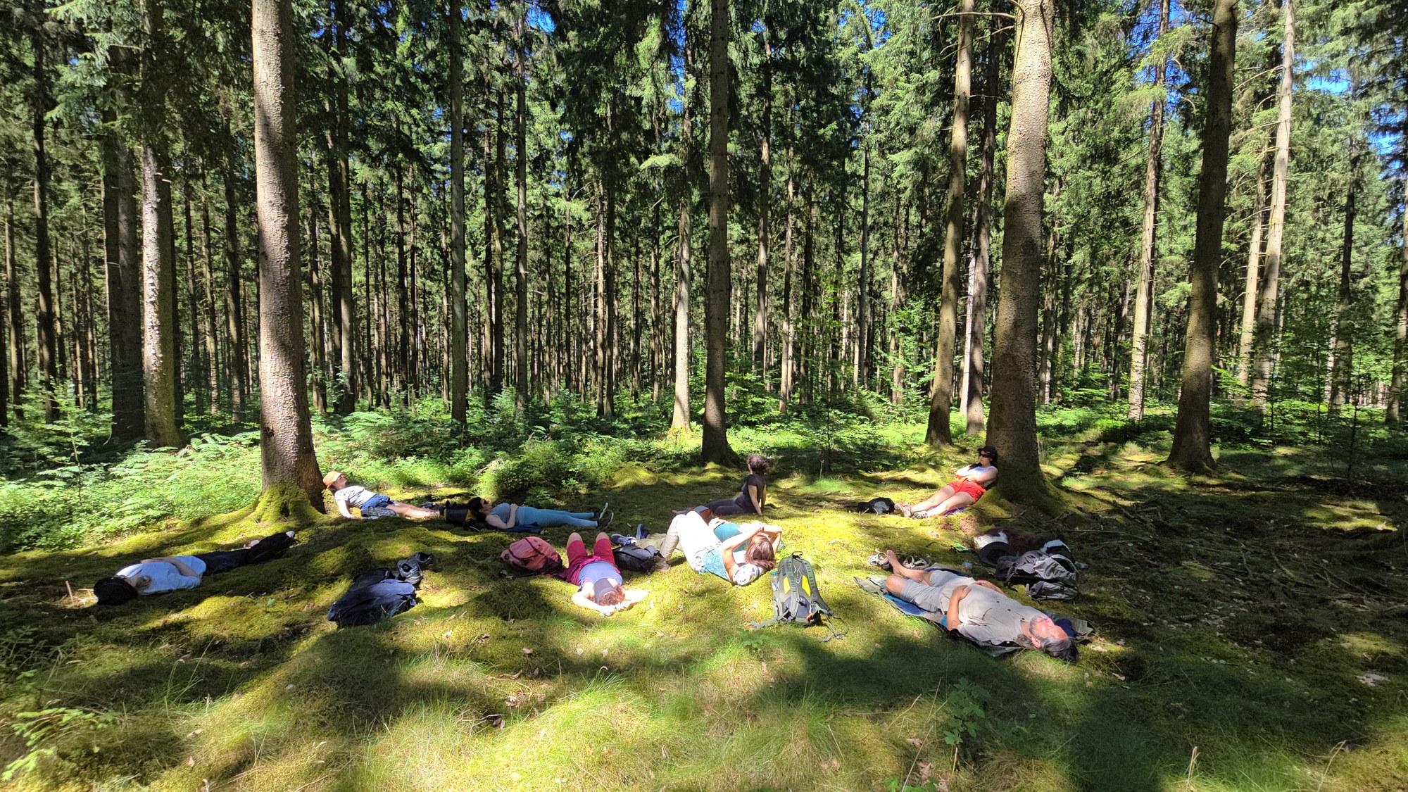 An Inner Spark group resting in silence on the forest floor in the Ardennes