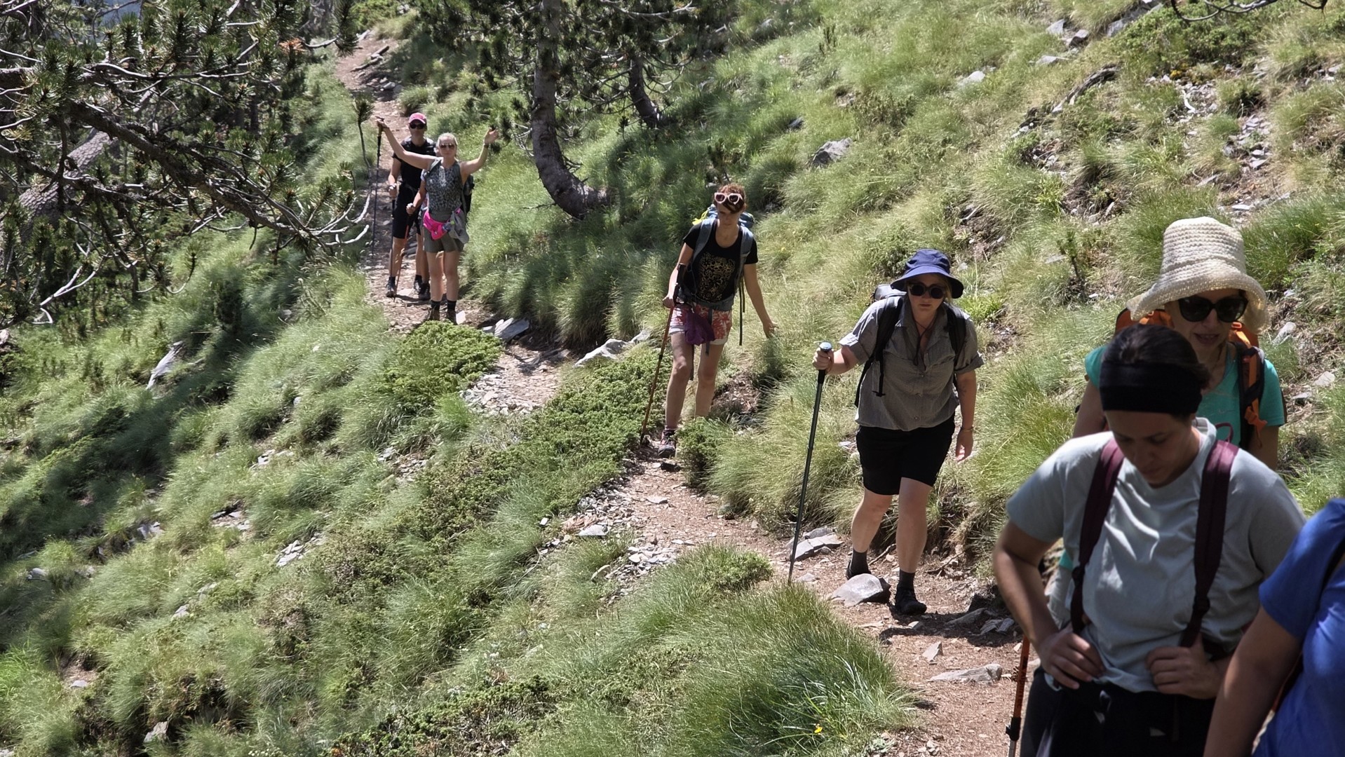 A group of hikers following a narrow trail through the green slopes of Mount Olympus.