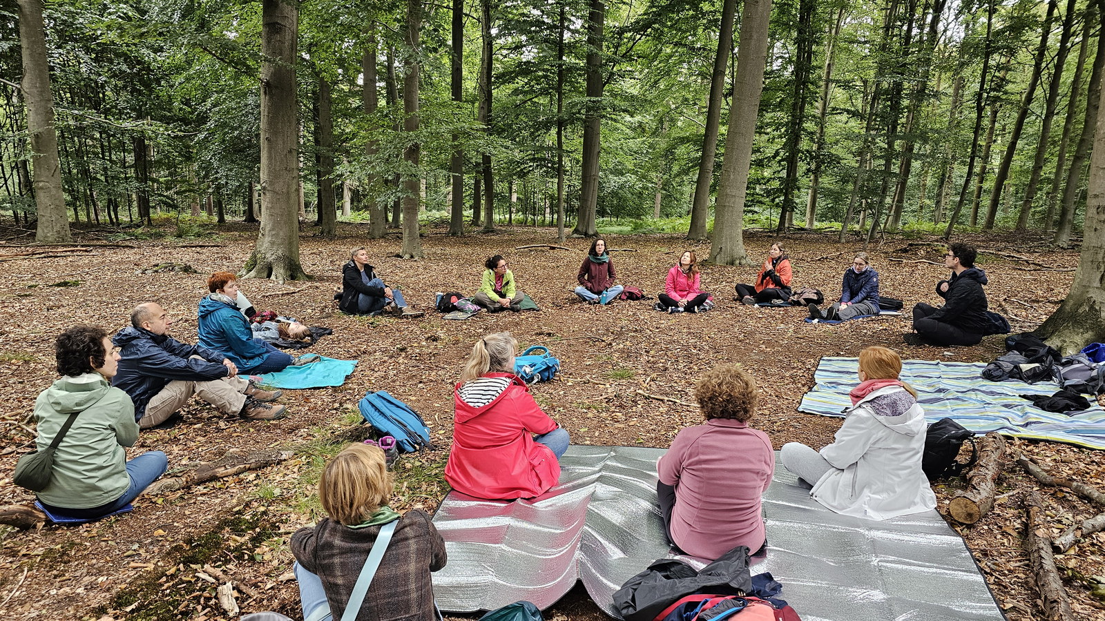 About a dozen people sit in a circle on blankets among tall beech trees, autumn leaves covering the forest floor.
