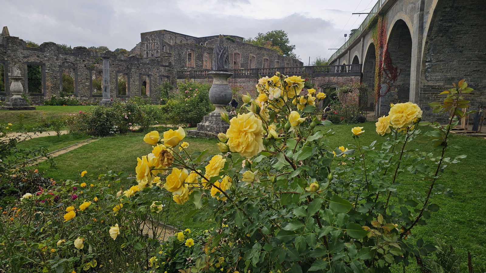 Yellow roses bloom in a garden bed below grey stone abbey ruins and a tall arched viaduct under an overcast sky.